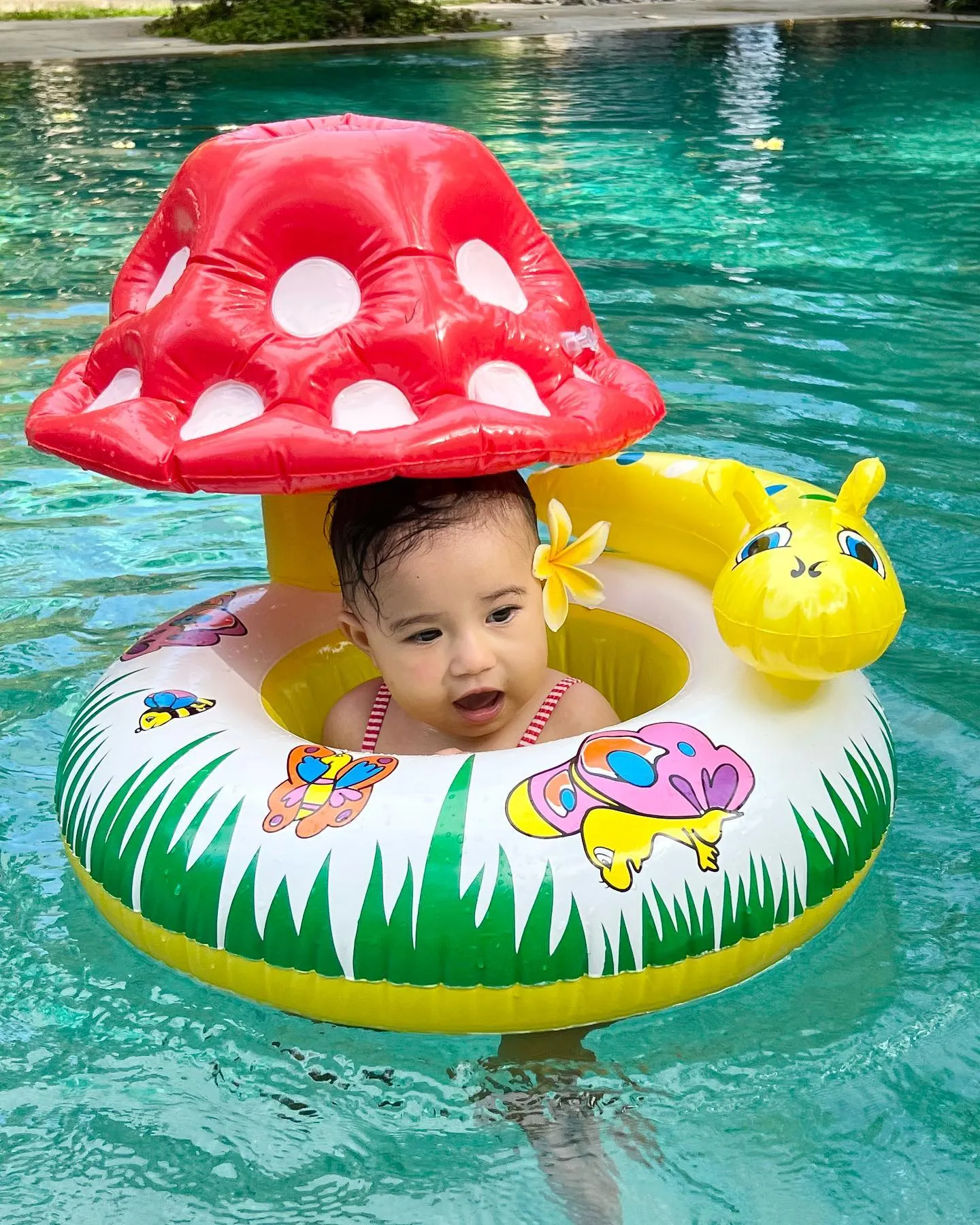 Lucu Menggemaskan