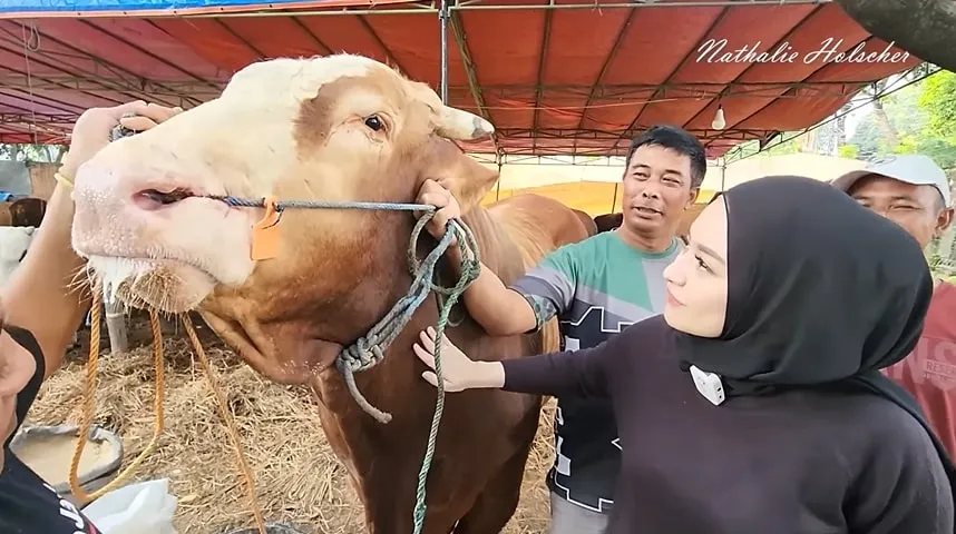 (credit: Youtube NATHALIE HOLSCHER)