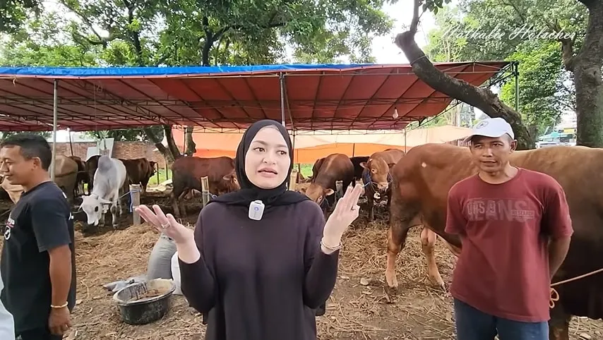 (credit: Youtube NATHALIE HOLSCHER)