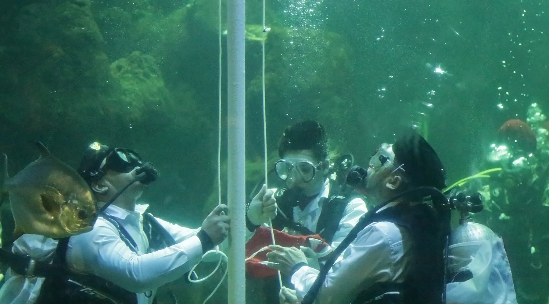 Kapanlagi/Bambang E Ros