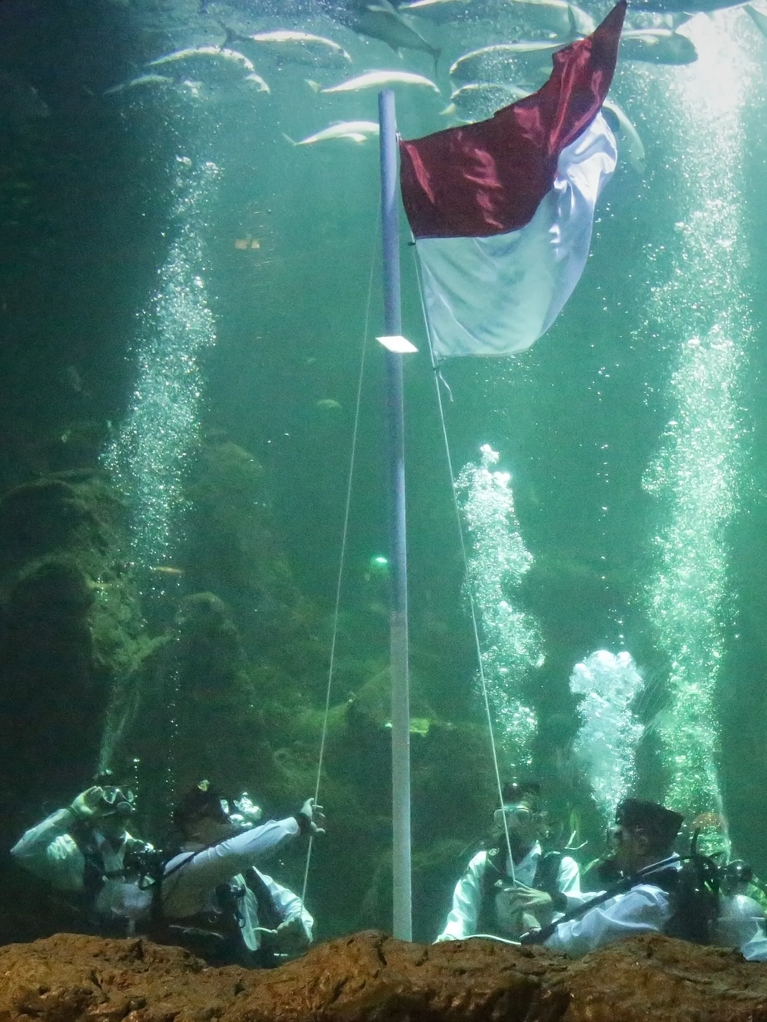 Kapanlagi/Bambang E Ros