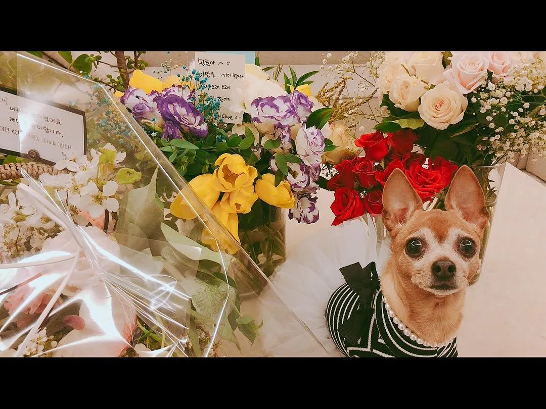 Postingan perdana setelah wamil © instagram.com/actorleeminho