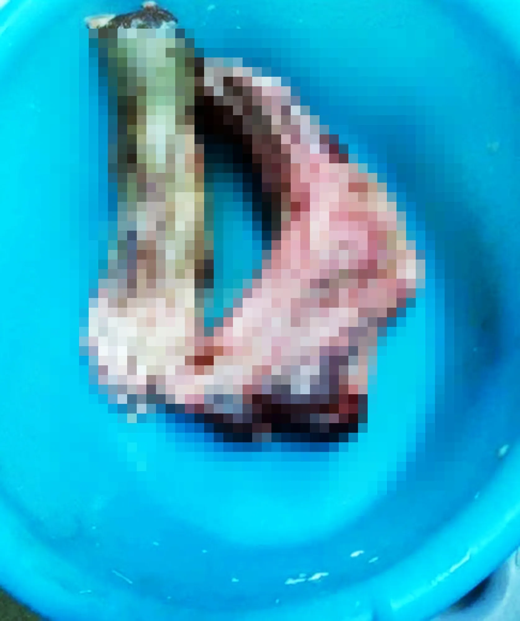 Foto ini langsung menjadi viral dan petugas yang berwajib segera melakukan investigasi © metro.co.uk