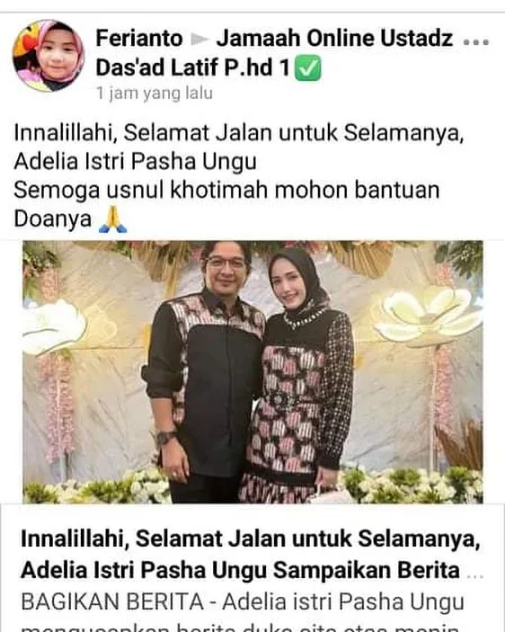 instagram.com/adeliapasha
