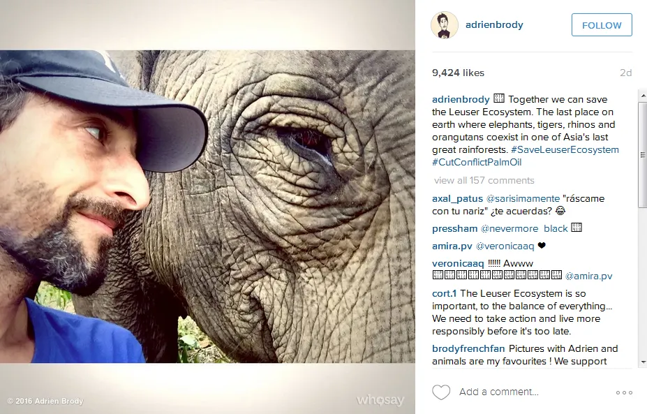 Himbauan Adrien untuk melestarikan spesies langka di Sumatera © Instagram/adrienbrody