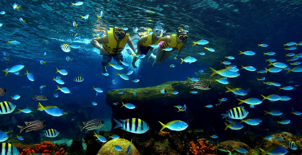 © Resorts World Sentosa Singapore