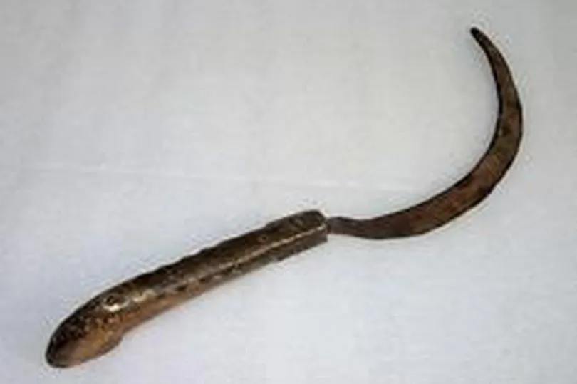 Barang bukti yang digunakan untuk memotong kemaluan korban © mirror.co.uk