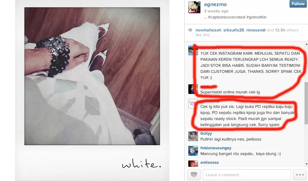 Instagram Agnez Mo dibanjiri dengan 'lapak' followernya/Instagram©