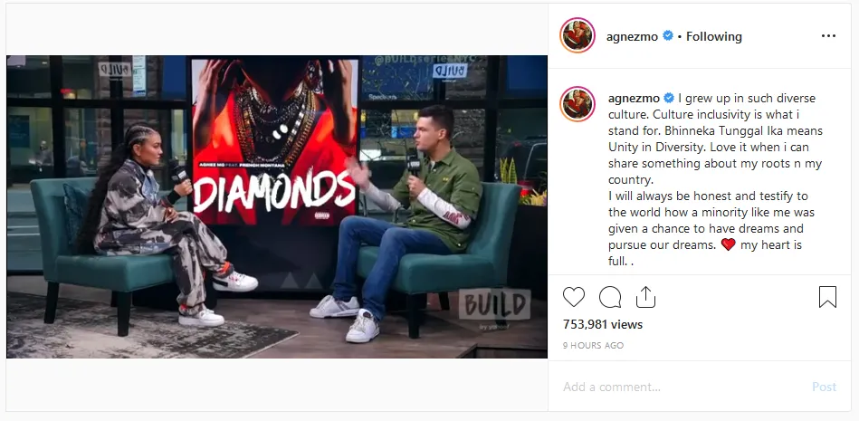 ©instagram.com/agnezmo