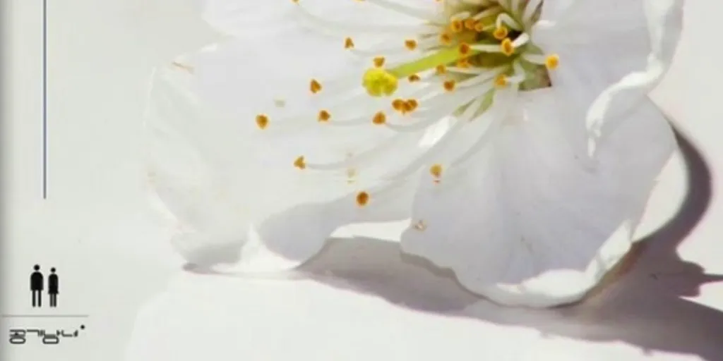 Air Mangirl - To Me (A Poem A Day OST)