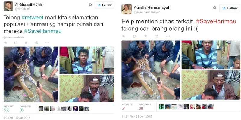Tweet dari Al dan Aurel tentang #SaveHarimau © istimewa