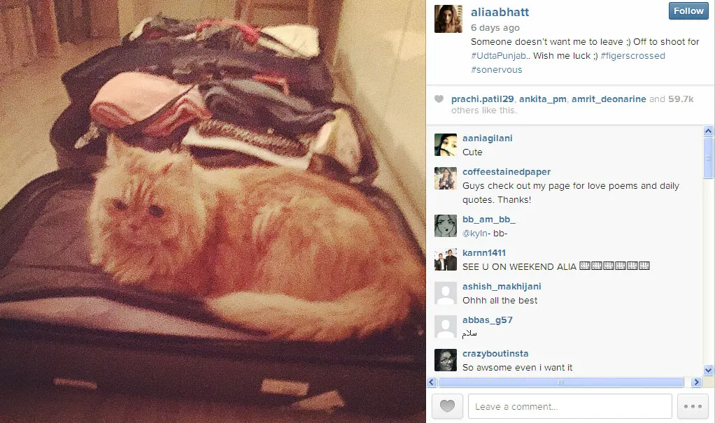 Ini sosok yang lengket terus dengan Alia Bhatt @instragram.com/aliaabhatt