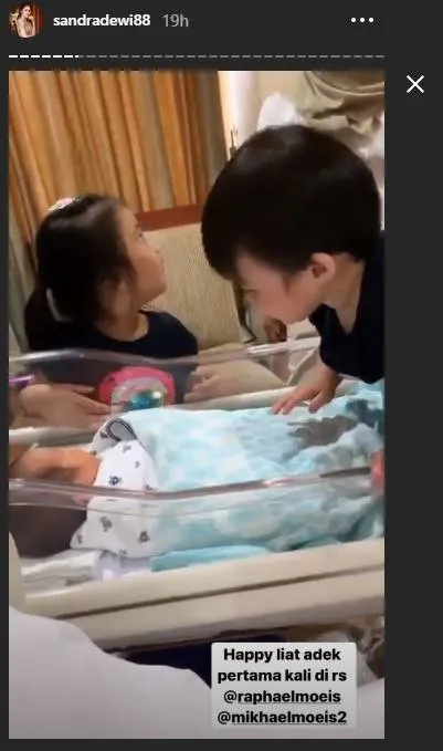 (credit: instagram.com/stories/sandradewi88)