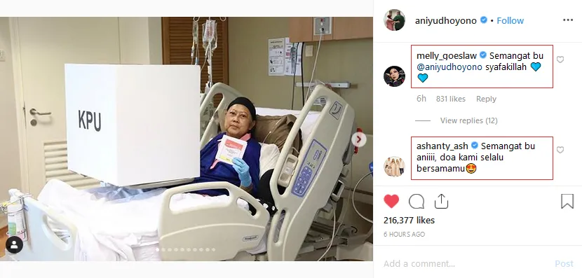 Credit: Instagram - aniyudhoyono