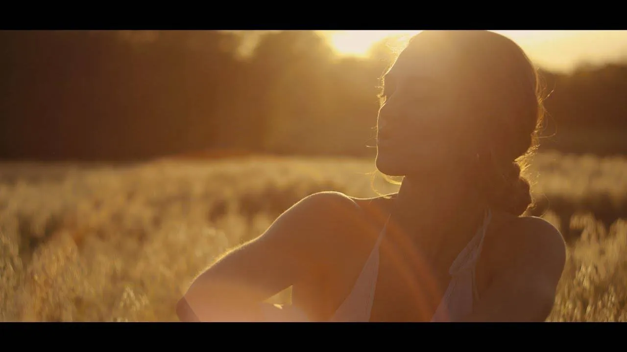 Anna Hamilton - No Rain, No Flowers