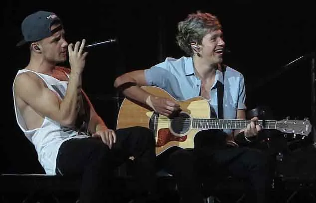 Liam Payne dan Niall Horan @dailymail.co.uk