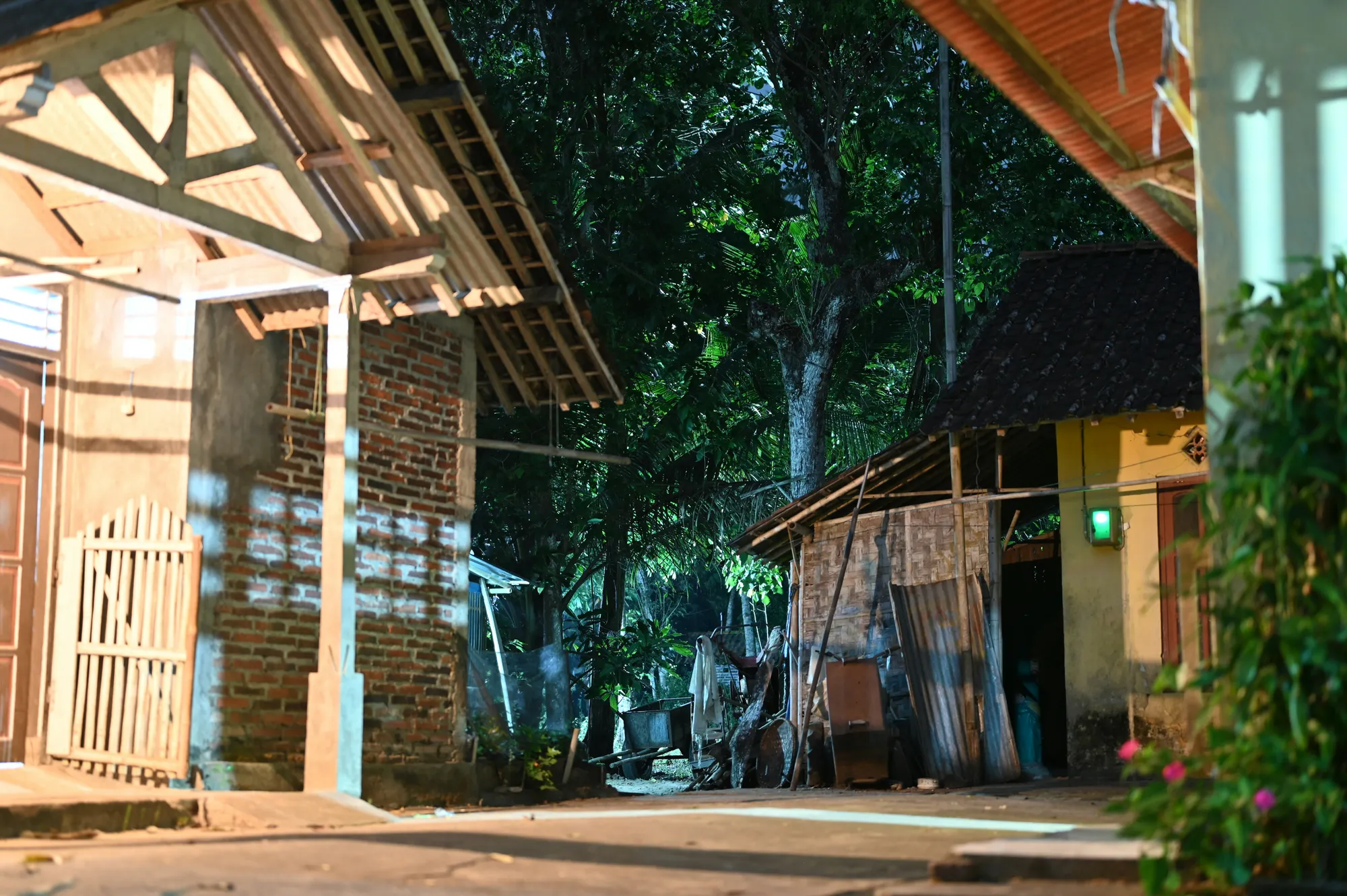 Arti Rumah Hadap Wetan Atau Timur (credit: unsplash)