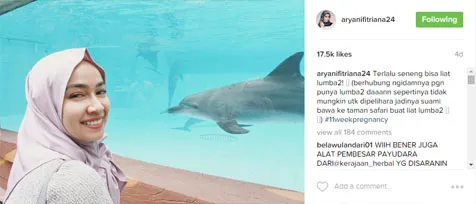 Aryani Fitriana ngidam pelihara lumba-lumba © instagram.com/aryanifitriana24