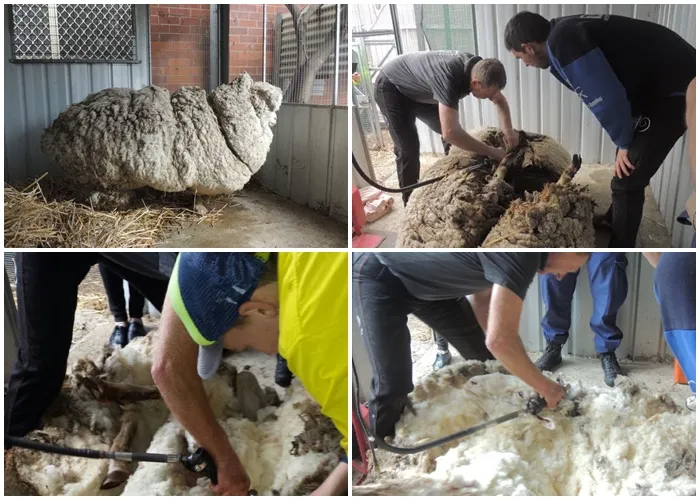 MATERI AJAR KELAS 3 A HARI SENIN 9 MARET 2020