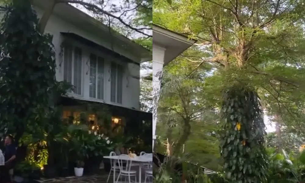 Potret Rumah Yuni Shara (Credit: Instagram/yunishara36/melly_goeslaw)