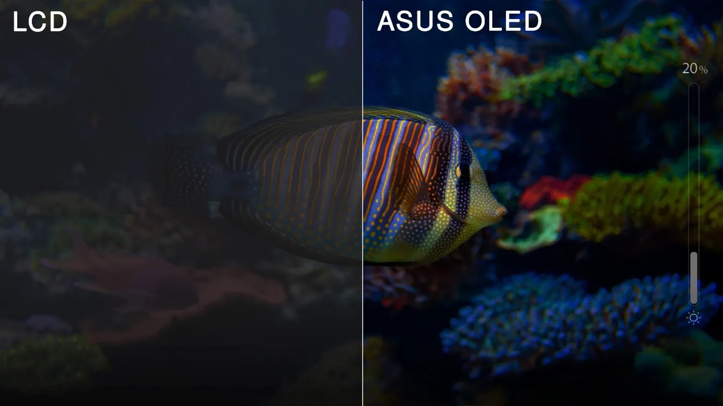 (c) Asus