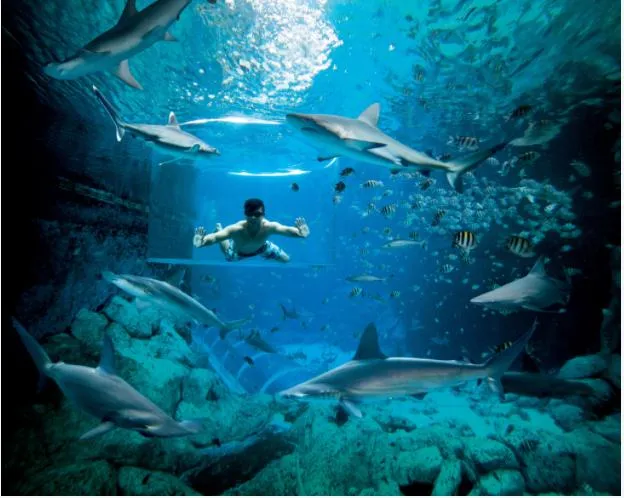 (c) Resorts World Sentosa 