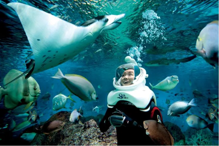 (c) Resorts World Sentosa 