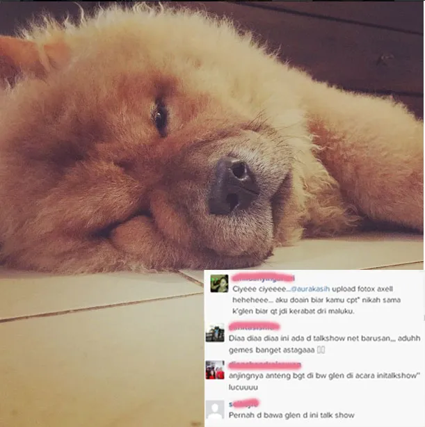 Aura Kasih saat bersama dengan Axel, yang ternyata merupakan anjing kesayangan Glenn Fredly. ©Instagram/Aura Kasih