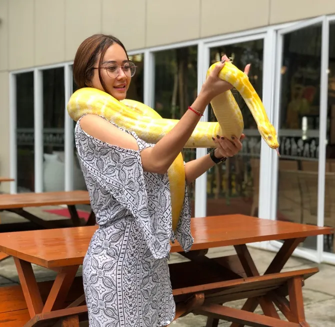 Aura Kasih sedang bermain seokor ular (credit : instagram.com/aurakasih)