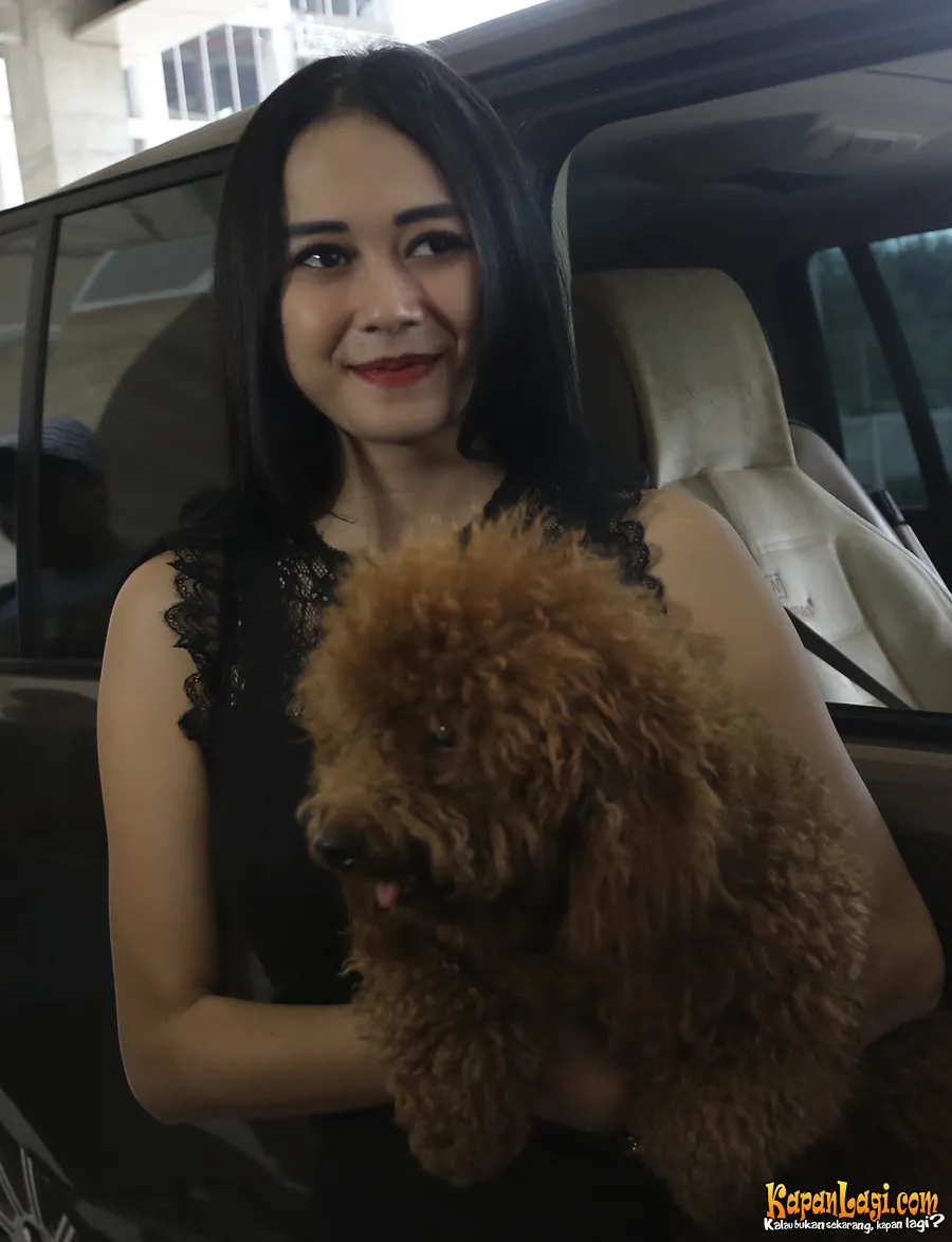 Aura Kasih Dan Brownie Kapanlagi Agus Aura Kasih Dan Brownie Kapanlagi Agus