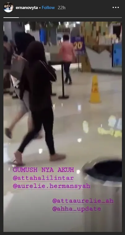 Credit: via instagram.com/ernanovyta