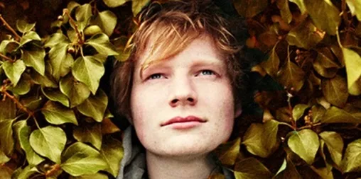 Ed Sheeran - Autumn Leaves dan Terjemahan