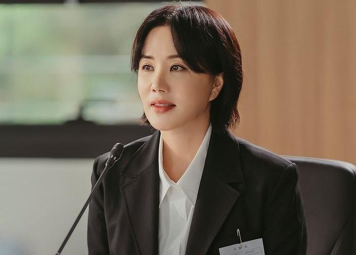 Sinopsis DOCTOR CHA Uhm Jung Hwa Mengejar Karier Dokternya