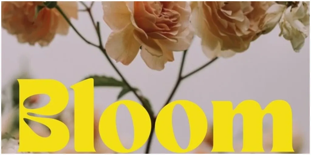 Backar - Bloom