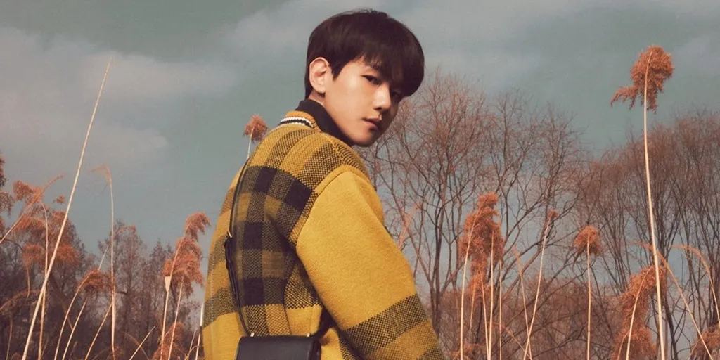 Baekhyun - Beautiful (Terjemahan)