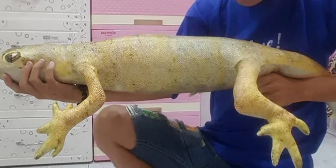 Bikin bergidik ngeri ya (©Facebook)