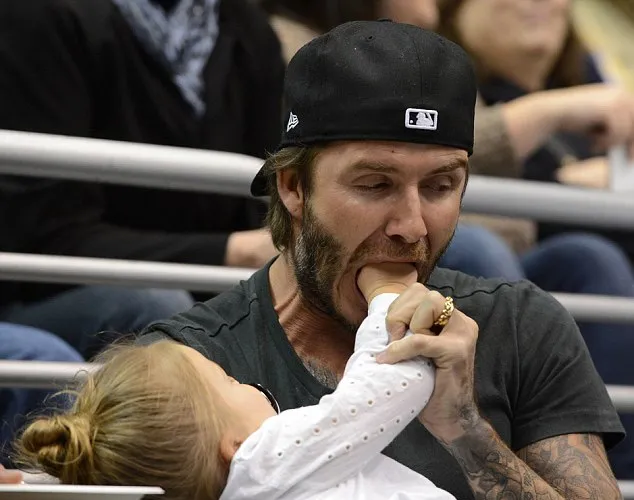 David dan Harper Beckham @ dailymail.co.uk