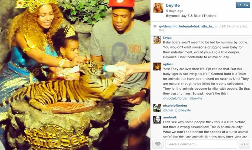 Beyonce dan keluarga berfoto bersama anak harimau @Instagram/beylite