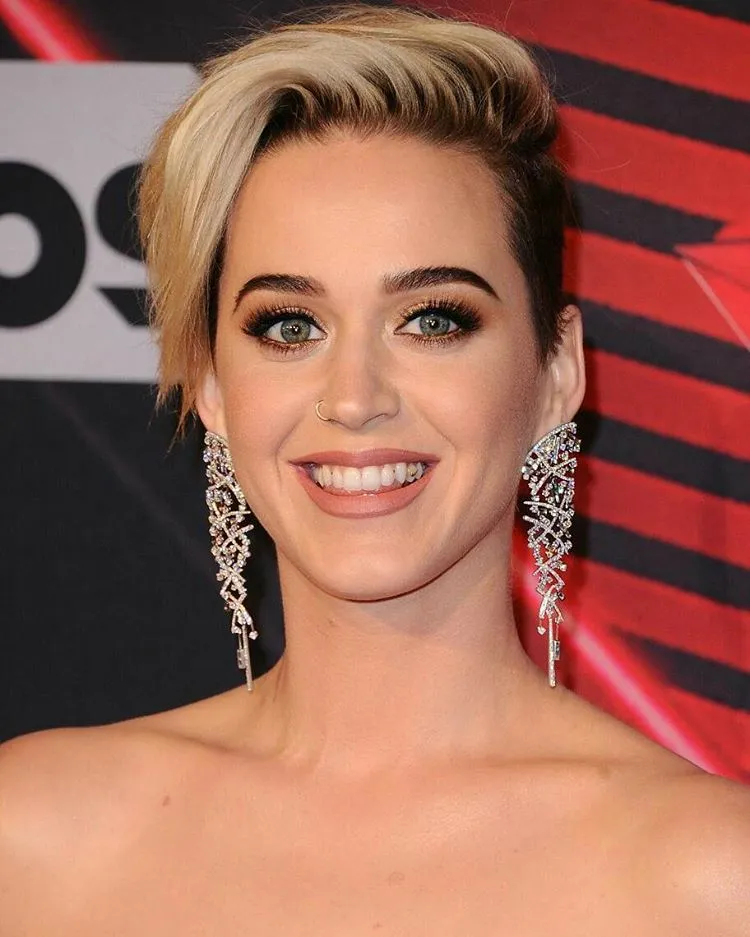Katy Perry menjadikan momen tersebut sebagai bahan lelucon © instagram.com/s_tsag