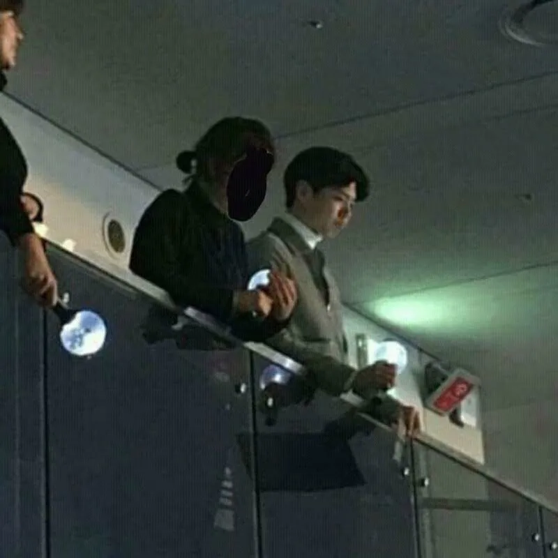 Park Bo Gum saat nonton konser BTS. Credit: twitter.com/v_pictures