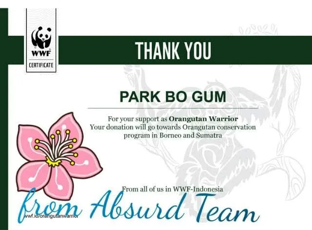 Sertifikat nama Park Bo Gum tercatat sebagai Orangutan Warrior. ©dokumentasi/Alfy Maghfira