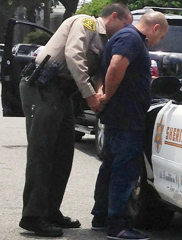 Penjahat pun berhasil diringkus @ dailymail.co.uk