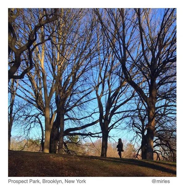 Foto salam dari Brooklyn yang diunggah Mira Lesmana © instagram.com/mirles