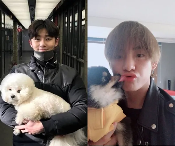 Credit: via soompi.com