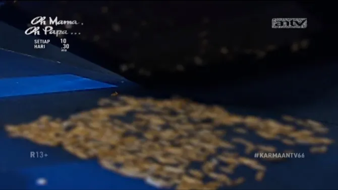 Tak terduga salah satu tempat duduk peserta dipenuhi belatung. © Youtube.com/ANTV KLIK