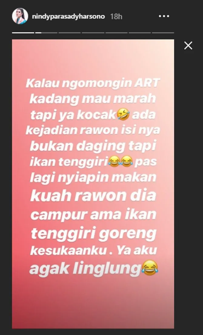 Cerita Nindy (credit: instagram.com/stories/nindyparasadyharsono)