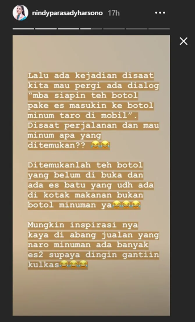Kelakuan ART Nindy (credit: instagram.com/stories/nindyparasadyharsono)