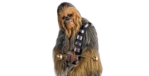 Chewbecca