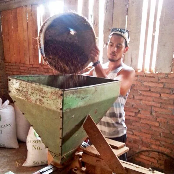 Chico Jericho serius melakukan pekerjaan mengolah kopi ini.