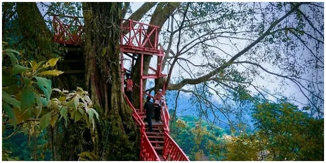 Curug Ciherang juga memiliki spot lain yang disuguhkan yaitu Rumah Pohon yang dilengkapi dengan jembatan kayu. 